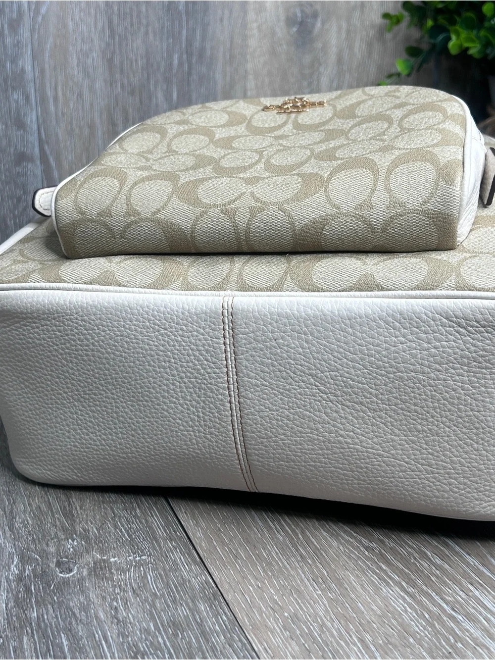 Coach Signature Canvas Tiger Backpack • Limited Edition Print • Beige & White